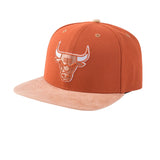 NBA GORRA  NBACA525113-BR2