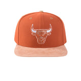 NBA GORRA  NBACA525113-BR2
