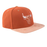 NBA GORRA  NBACA525113-BR2