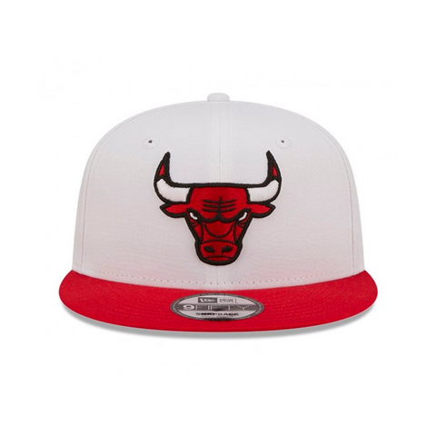 CHICAGO BULLS