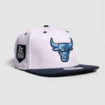 NBA GORRA CHICAGO BULLS