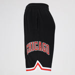 SHORT NBA BULLS NBASH521820-BLK