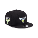 CHICAGO BULLS
