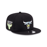 CHICAGO BULLS