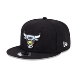 CHICAGO BULLS