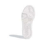 HOOPS 3.0