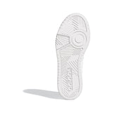 HOOPS 3.0