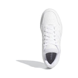 HOOPS 3.0